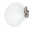 Shrimp Porcelain Shell Plate