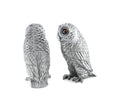 Owl Salt & Pepper Set