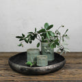 Large Fluted Olive Ceramic Cachepot