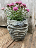 Cement Palm Planter