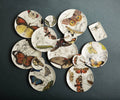 Specimen Coasters Set of Four