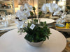3 Orchids/Fern Foliage in Silver Bowl