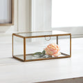 Arwen Rectangular Display Box