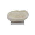 Bowl Coral 9-10 Inch On Acrylic Base