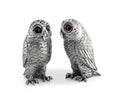 Owl Salt & Pepper Set