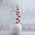 Paper Mache Pot Natural White Dia 7.68"