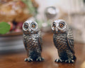 Owl Salt & Pepper Set