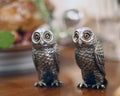 Owl Salt & Pepper Set