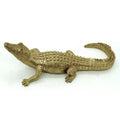 Gold Caiman 14"