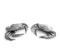 Pewter Blue Crabs Salt & Pepper Set