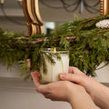 Frasier Fir Candle - 6.5 oz