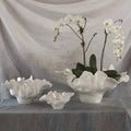 Meteor Bowl - Ivory