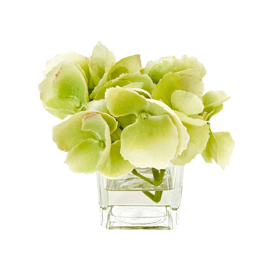 Hydrangea in Vase