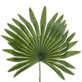Tiny Palm Frond