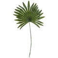 Tiny Palm Frond