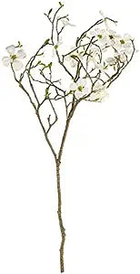 Dogwood Branch