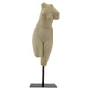 Athena Torso With Metal Base