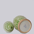 Green and White Porcelain Chrysanthemum Temple Jar