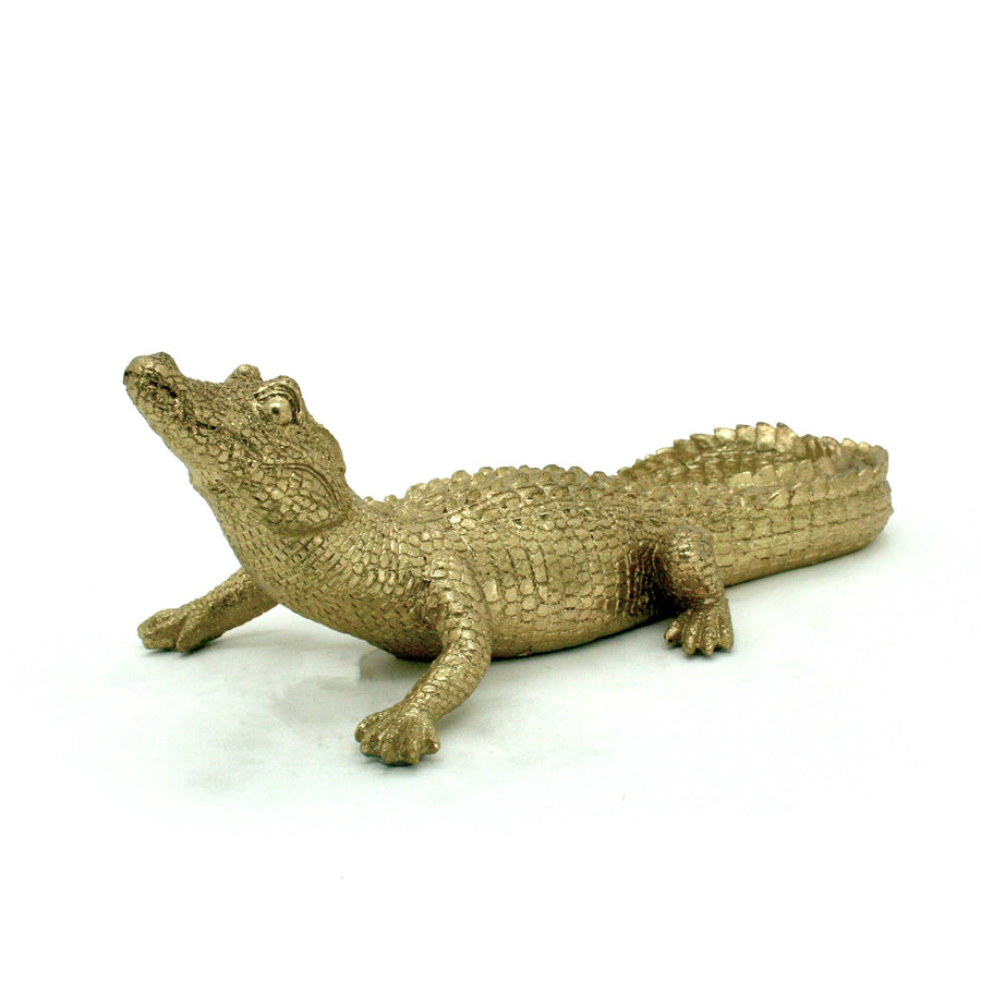 Gold Caiman 14"