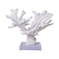 Branch Coral 12-15 Inch On Acrylic Base