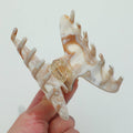 Calacatta Gold S/M - Assorted Claw Clips