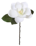 Magnolia Stem