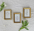 FRAMING ADD-ON