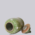 Green and White Porcelain Chrysanthemum Temple Jar
