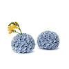 Hydrangea Flower Bud Vase / Taper Candle Holder