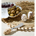 Tiger Cowrie Shell Salt and Pepper Shakers