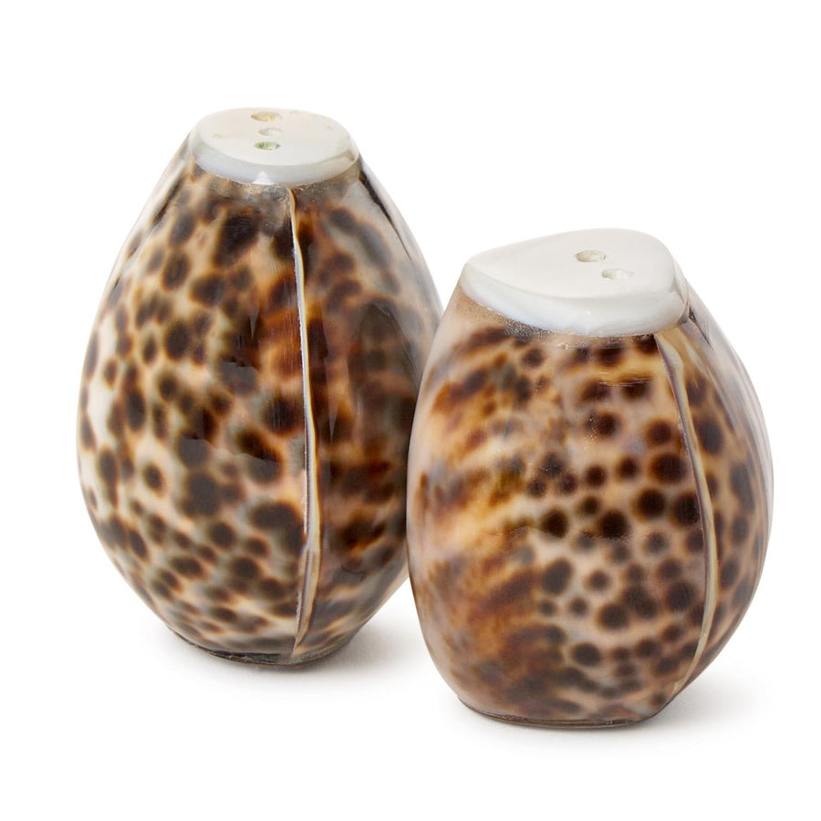 Tiger Cowrie Shell Salt and Pepper Shakers