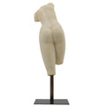 Athena Torso With Metal Base