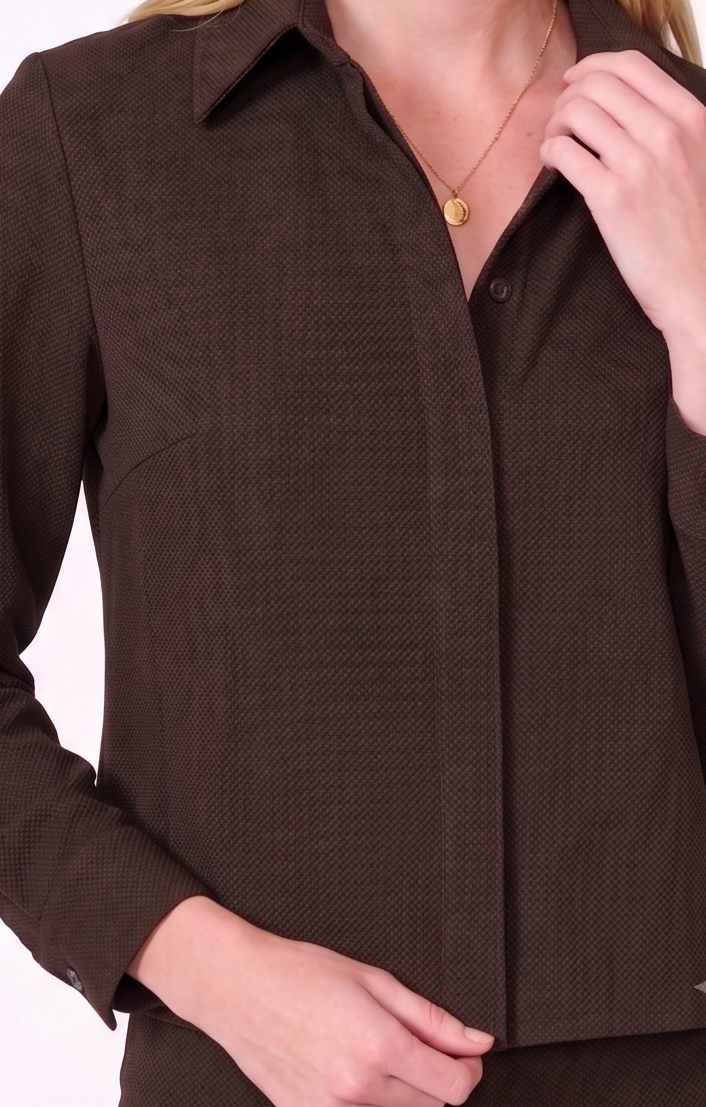 Crop Pleat Back Shirt