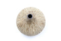 CONGO TINY L-Handcrafted Porcelain Bud Vase