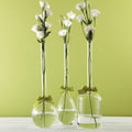 Sleek and Chic Vase w/ Sage Green Ribbon