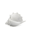Triton Glass Shell