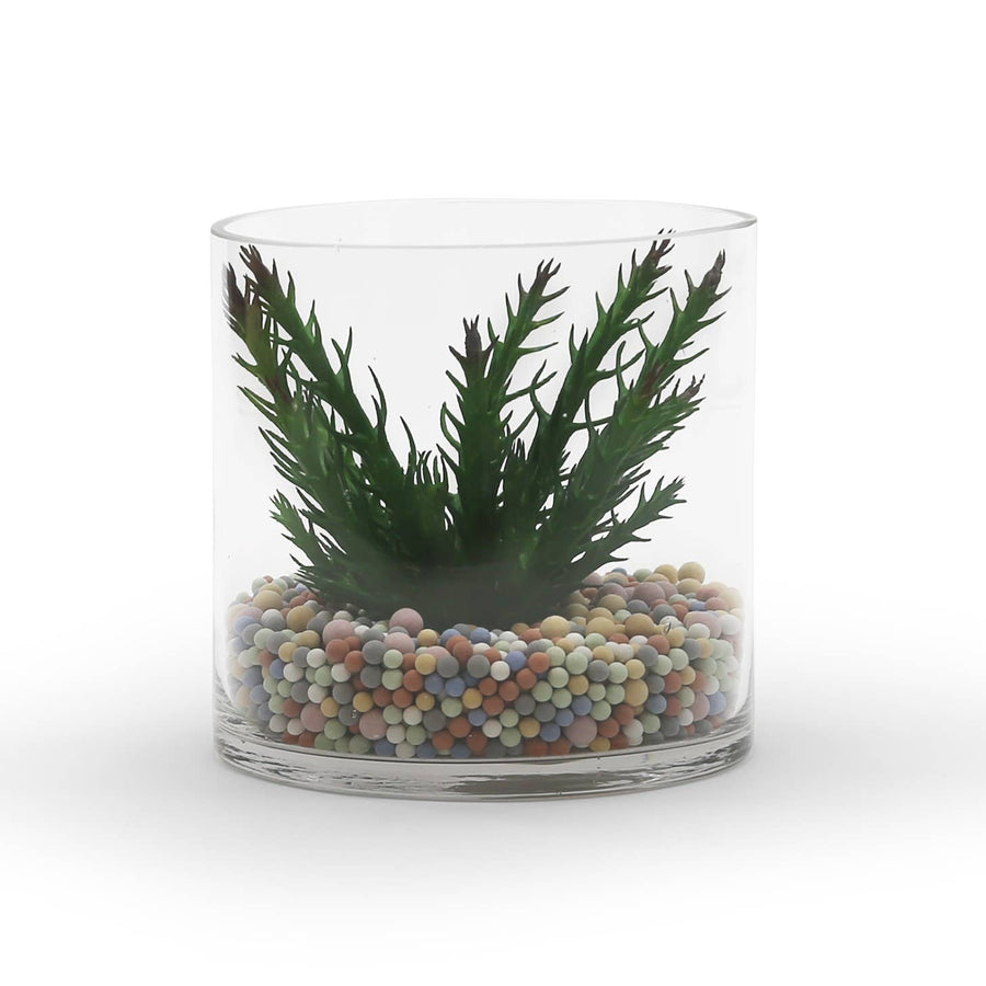 WGV Clear Cylinder Glass Vase - 6" x 6"H