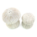 Mushroom Handcrafted Porcelain Salt and Pepper Shaker Set