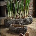 Cement Log Planter