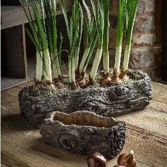 Cement Log Planter