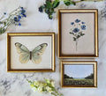 FRAMING ADD-ON