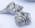 Pewter Conch Shells Salt & Pepper Set