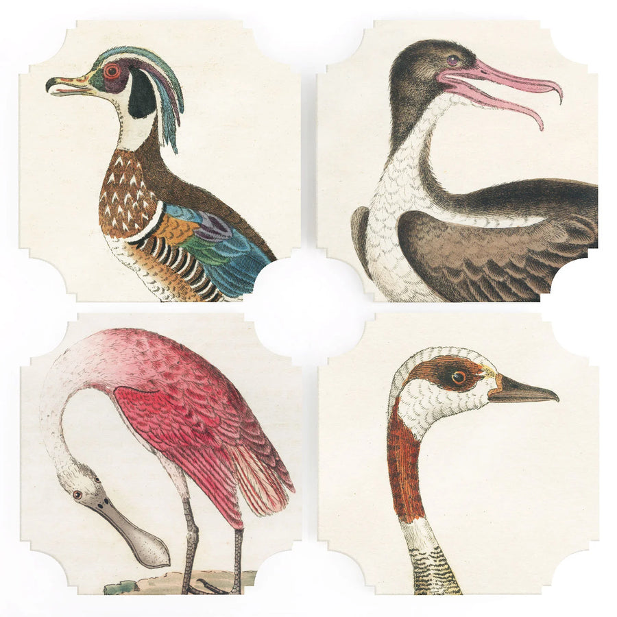 Acrylic Coasters | 19th c. Bird Prints