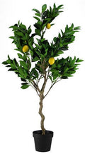 Lemon Tree w/ Pot