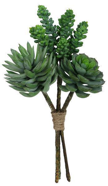 Mixed Succulent Bush