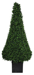 Boxwood Topiary