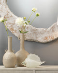 Triton Glass Shell