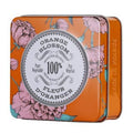 Travel Soap