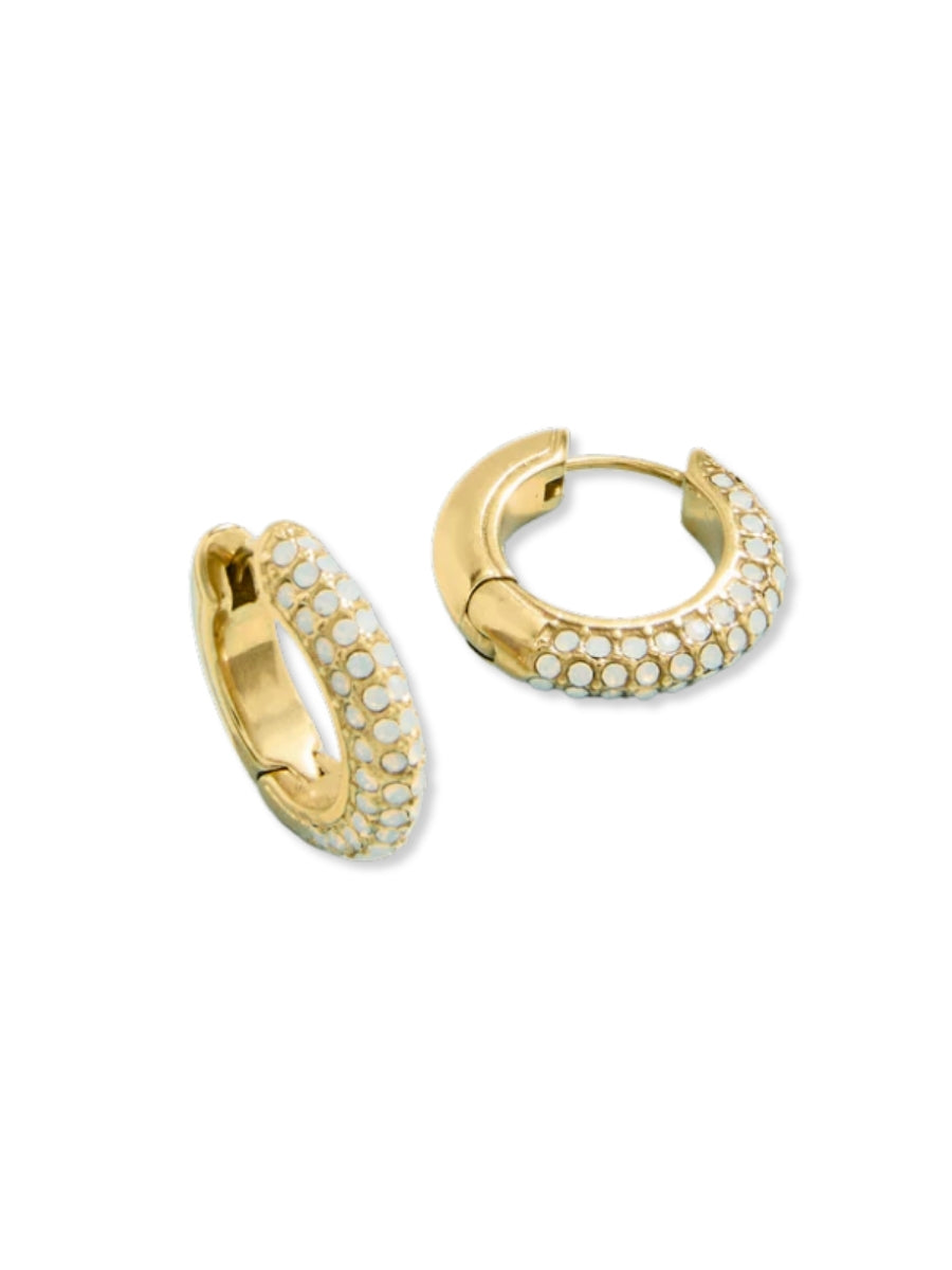 Shine On Pave Hoop Earrings