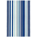 Skyler Stripe Indoor/Outdoor Rug